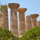 Agrigento, tal der Tempel