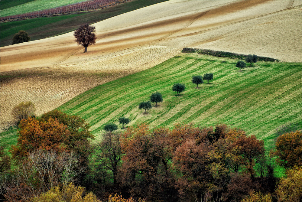 AgriPatchwork