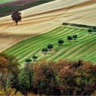 AgriPatchwork