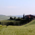 ... Agriturismi nel Verde....