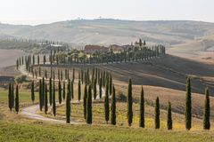 Agriturismo Baccoleno, Asciano