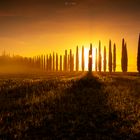 Agriturismo Poggio Covili vor dem Sonnenaufgang