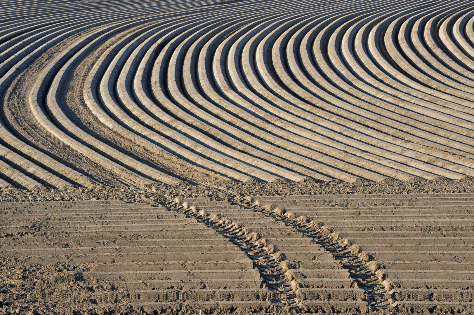 Agrodesign im Kartoffelanbau