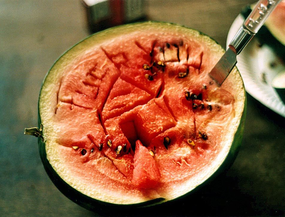 AgroMelone‡