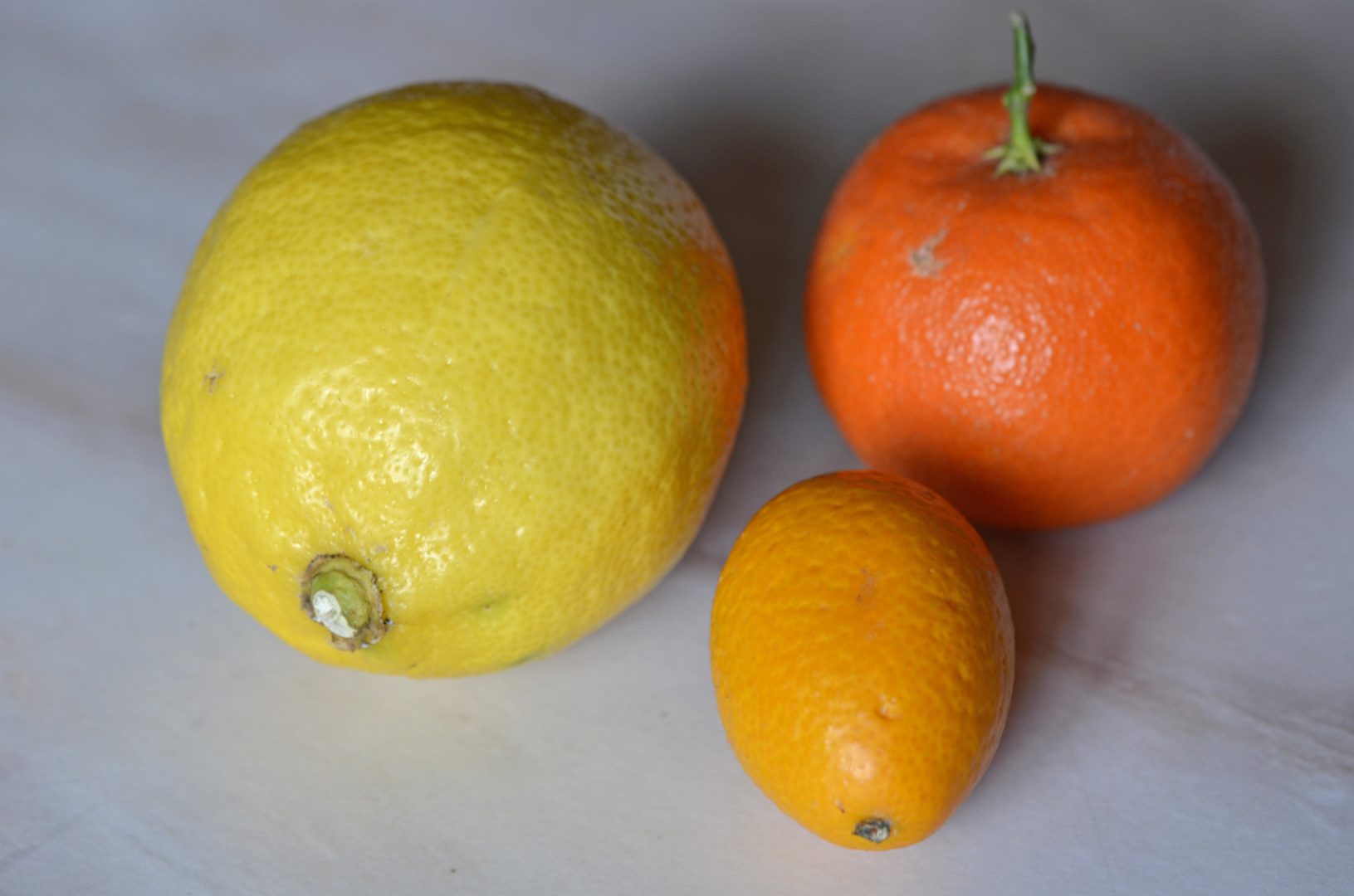 agrumes photo et image les fruits, nature Images