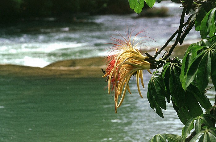 Agua Azul