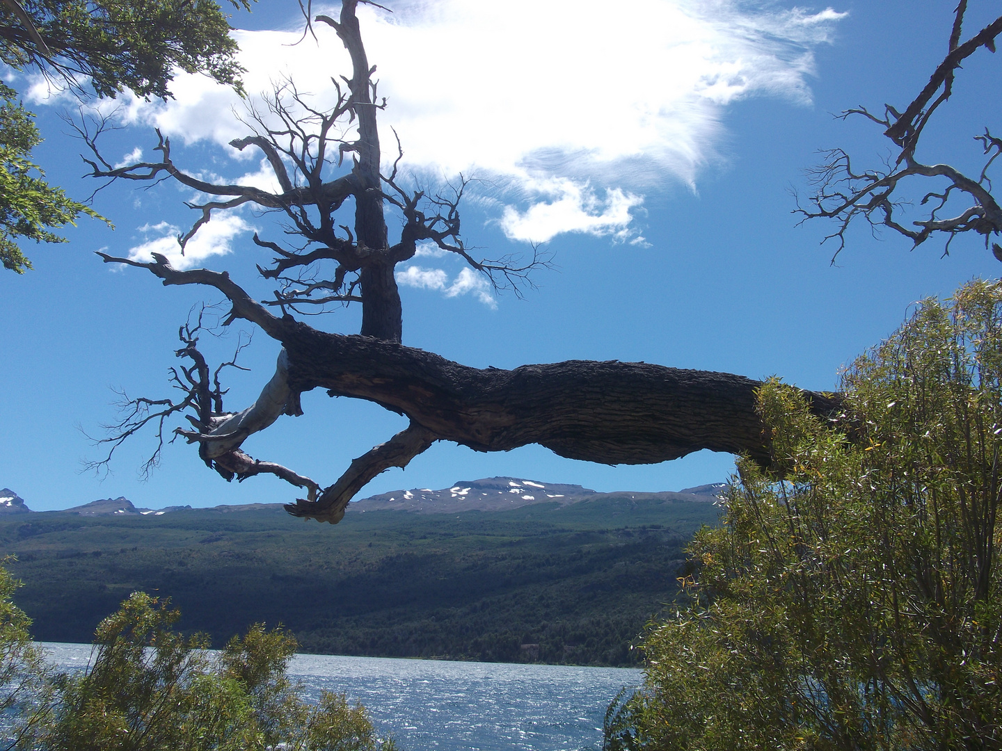 Agua-bosques-cielo-nubes