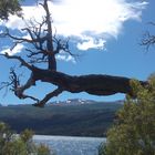 Agua-bosques-cielo-nubes