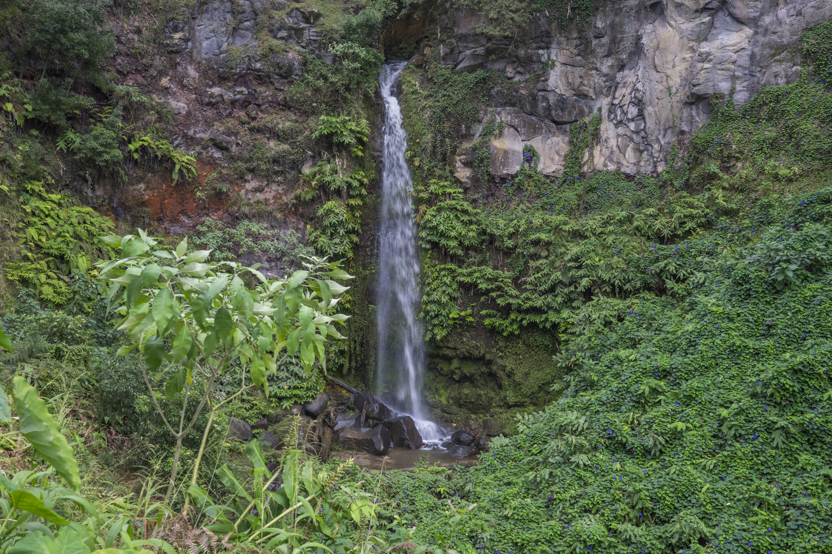 Agua de Alto