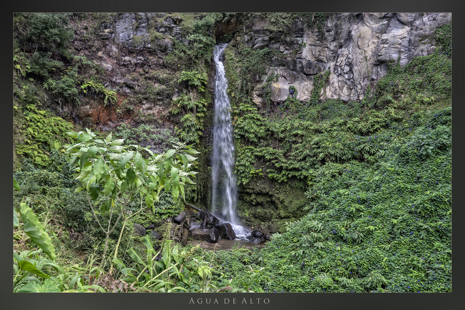 Agua de Alto  (Sao Miguel / Acores)