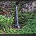 Agua de Alto  (Sao Miguel / Acores)