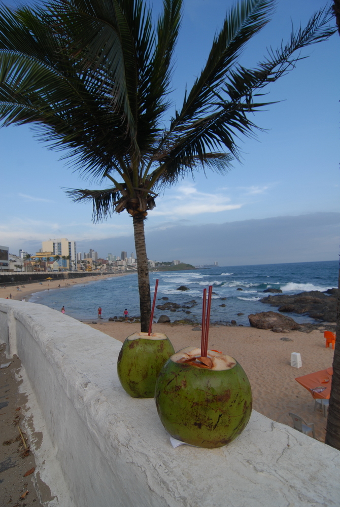 agua de coco a Salvador