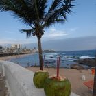 agua de coco a Salvador