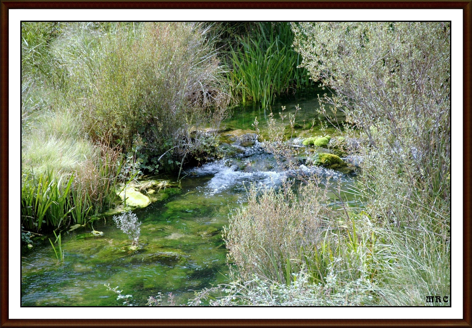 AGUA DE NO HAS DE BEBER DEJALA...... CORRER, DEJALA, DEJALA.