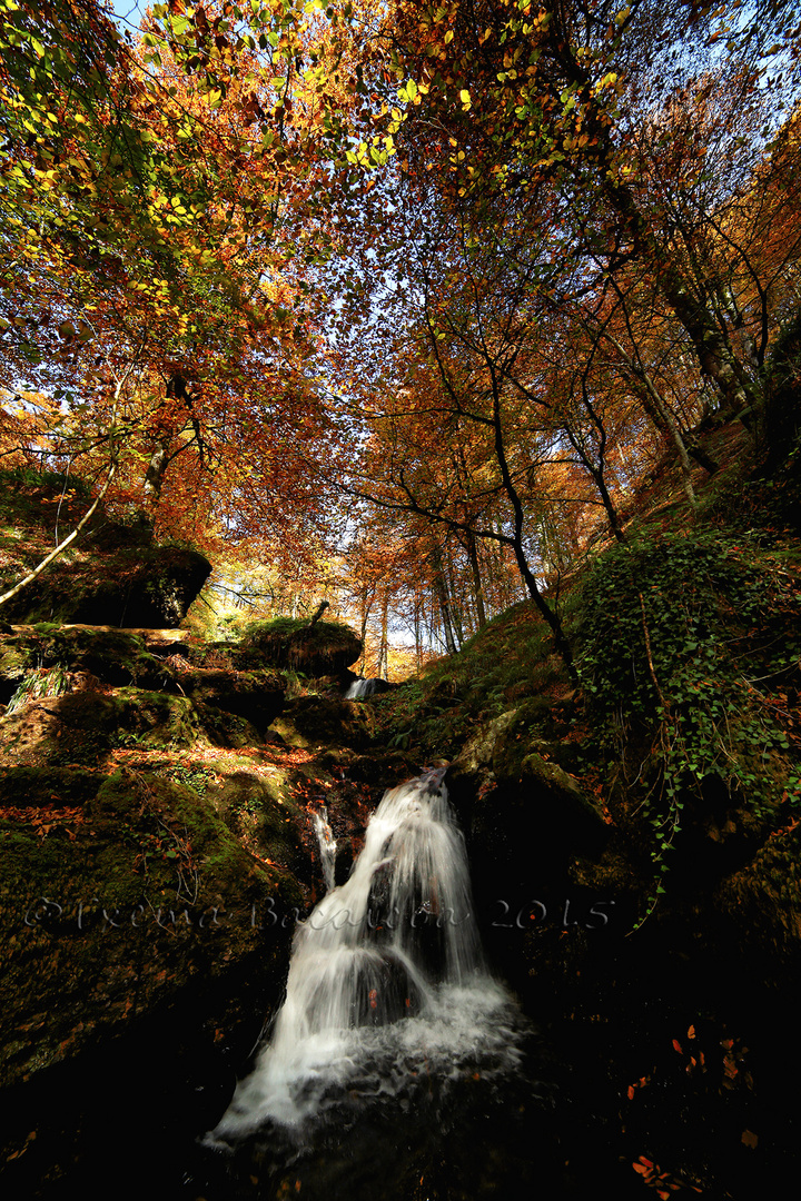 Agua de otoño