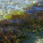 Agua del Titicaca 2