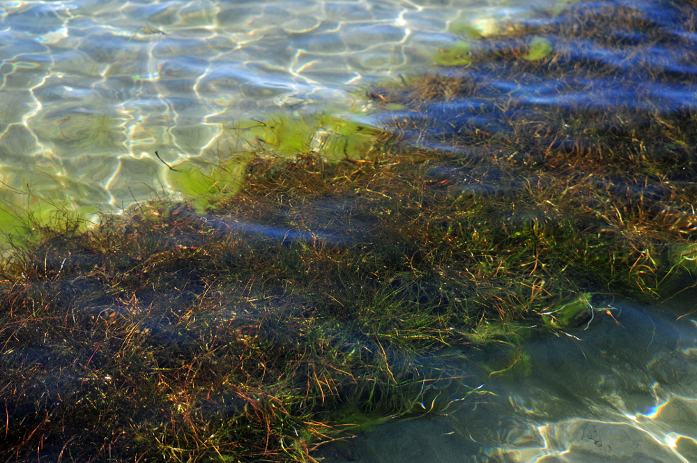 Agua del Titicaca 2