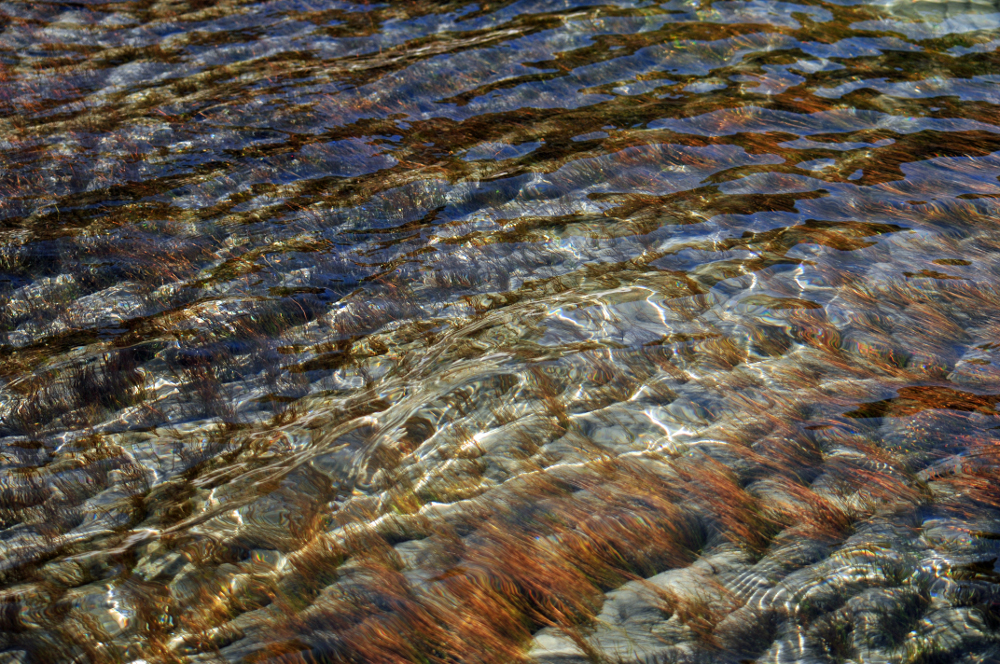 Agua del Titicaca 3