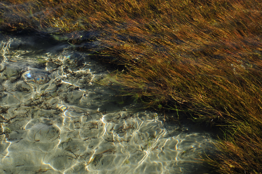 Agua del Titicaca 8