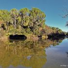 Agua en calma