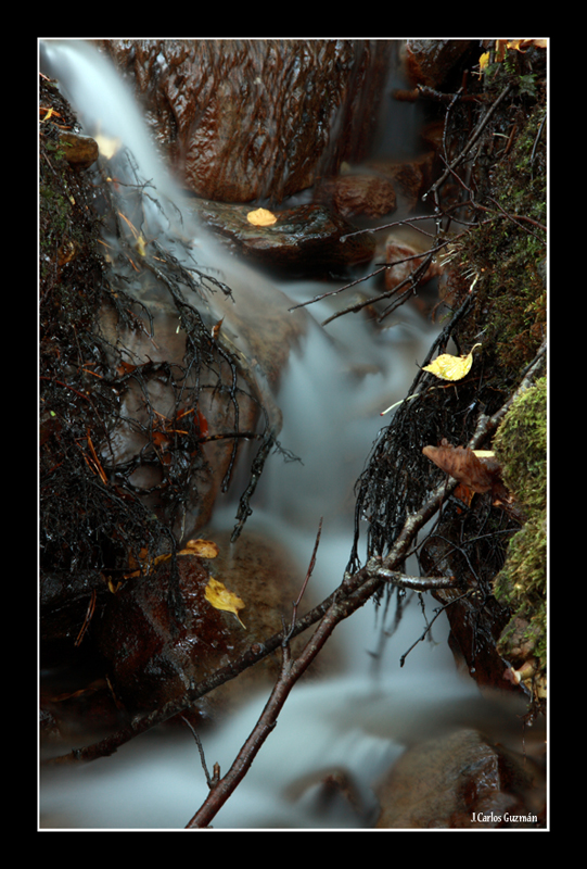 Agua. Moncayo.