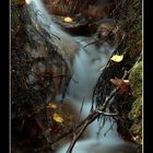 Agua. Moncayo.