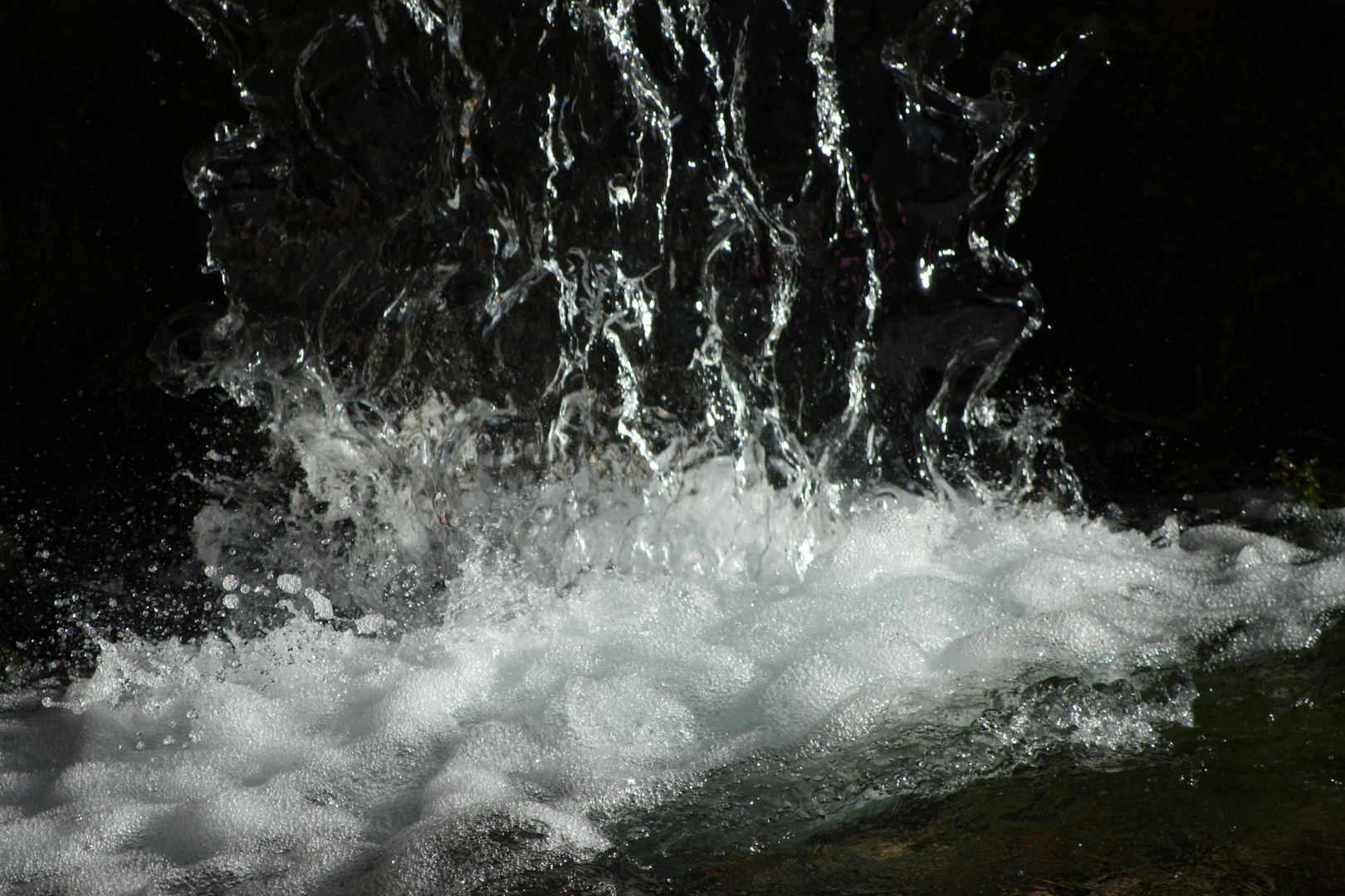 agua para la vida. ?