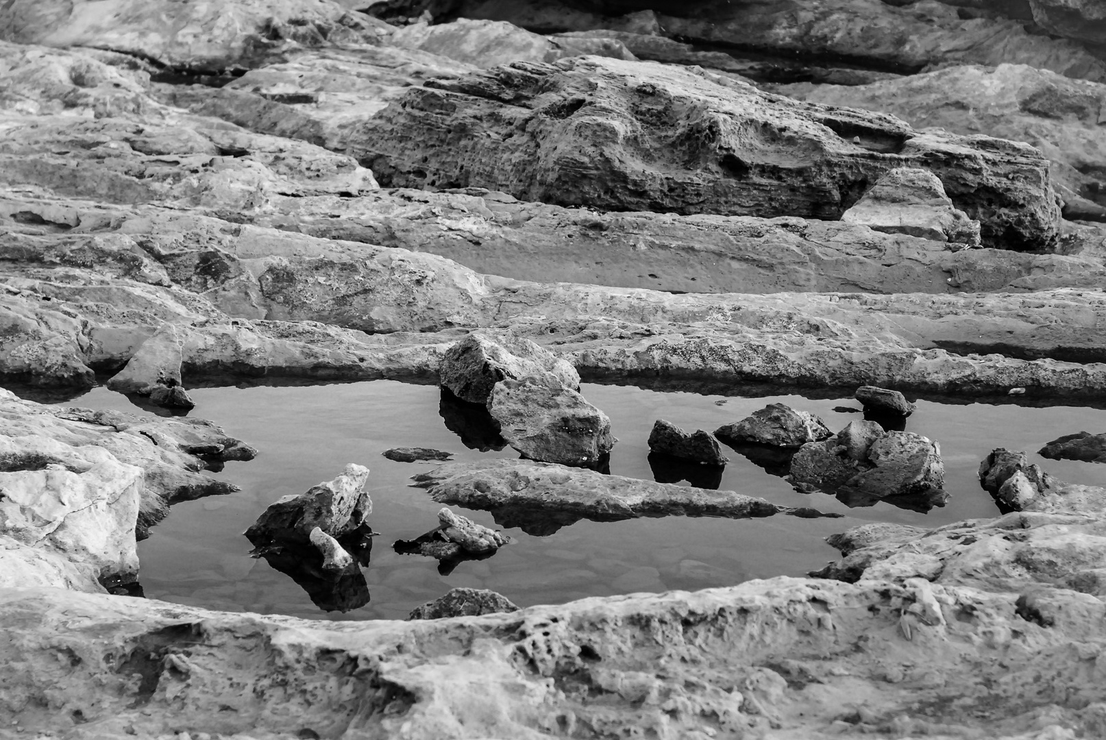 Agua, piedra y perro