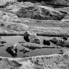 Agua, piedra y perro