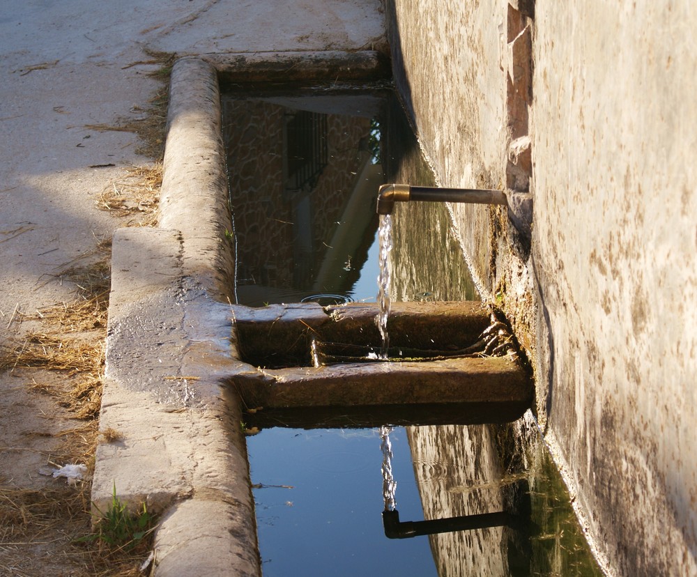 Agua que no has de beber, déjala correr.