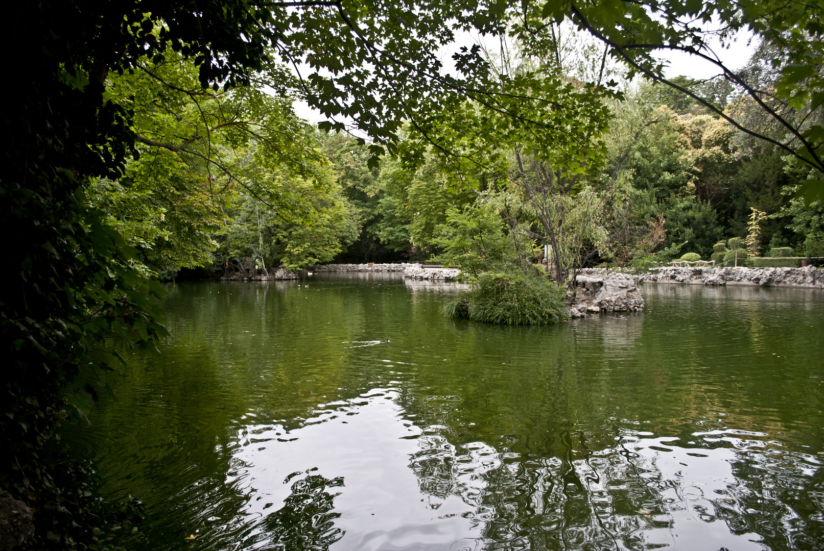 Agua verde