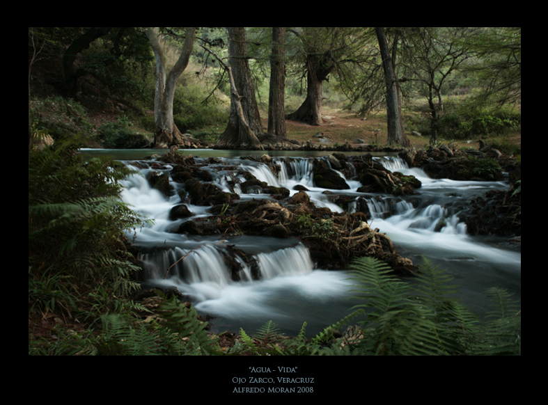 "Agua - Vida"