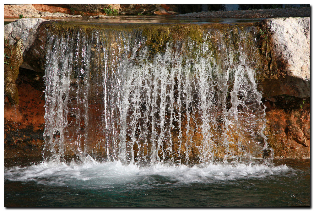 Agua viva