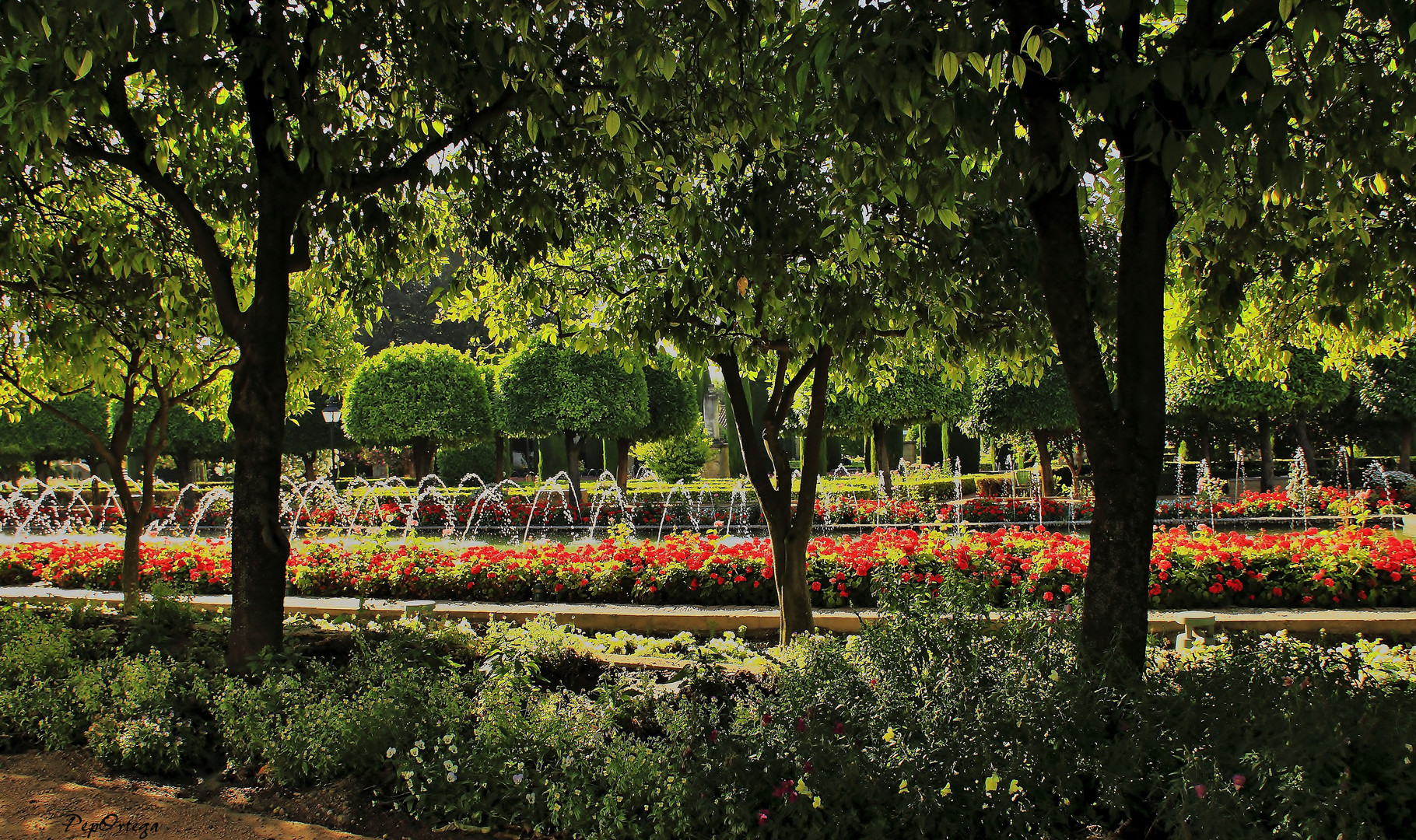 Agua y flores