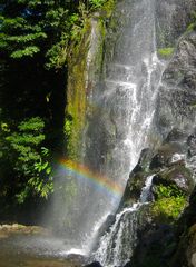 Agua y Luz