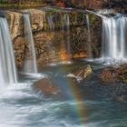 AGUA Y LUZ : EL ORIGEN DE LA VIDA NATURAL. Dedicada a LURRA.