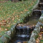 Agua y otoño.