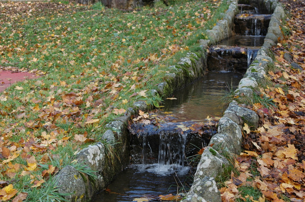 Agua y otoño.