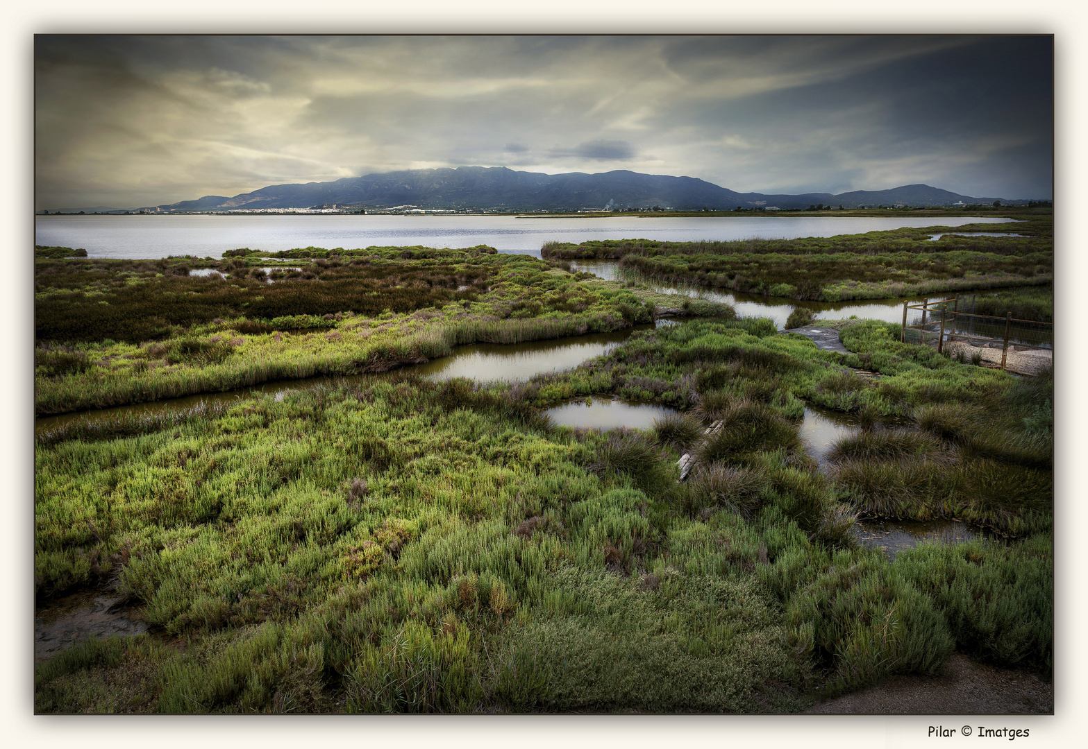 Agua y Tierra del Delta