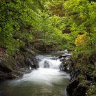 Agua y verde