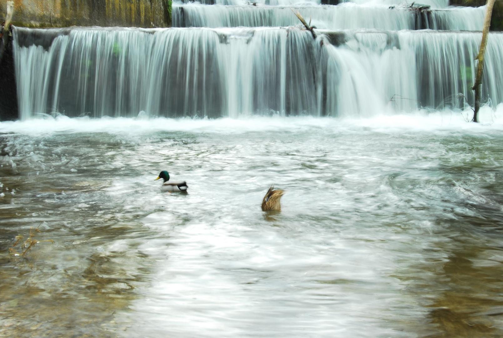 agua y vida