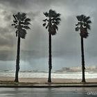 Aguantando el temporal