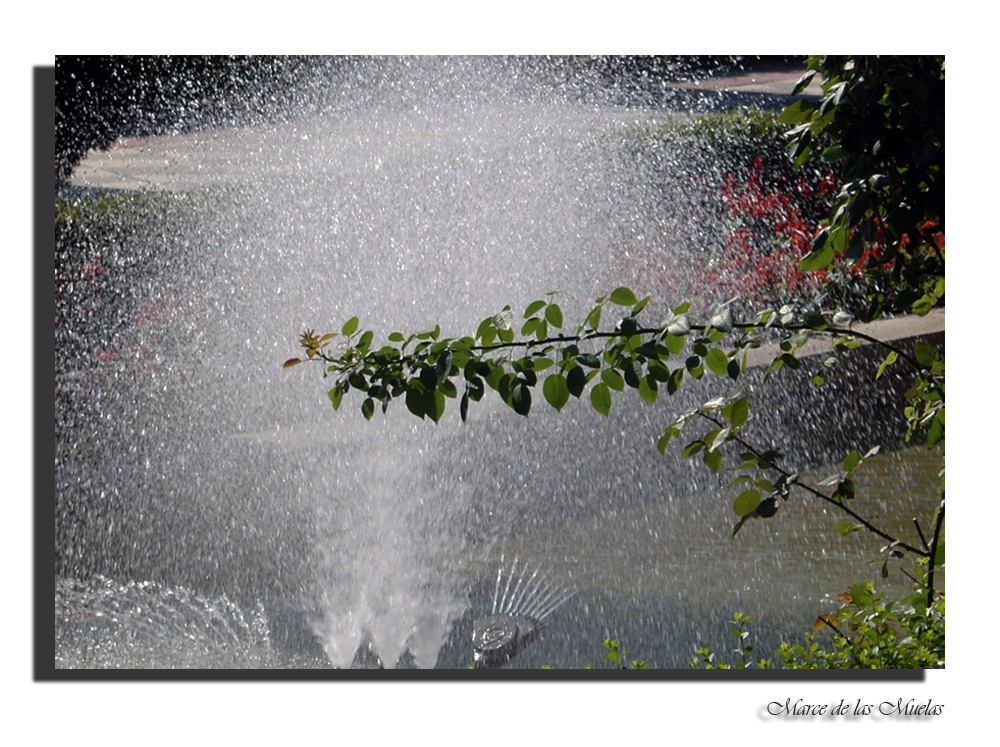 Aguas Abril, flores en Mayo.