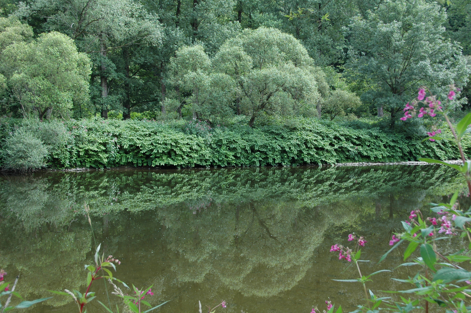 AGUAS ALEMANAS