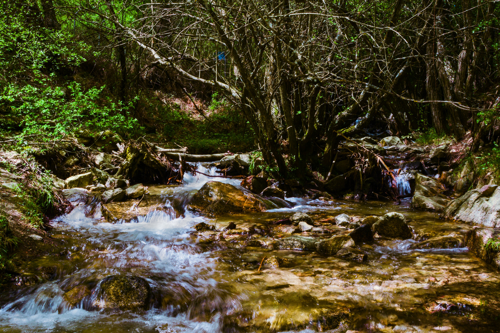 Aguas bravas en pequeño