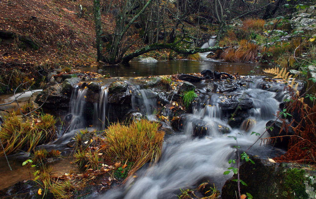 Aguas de otoño