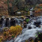 Aguas de otoño