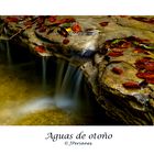 Aguas de Otoño