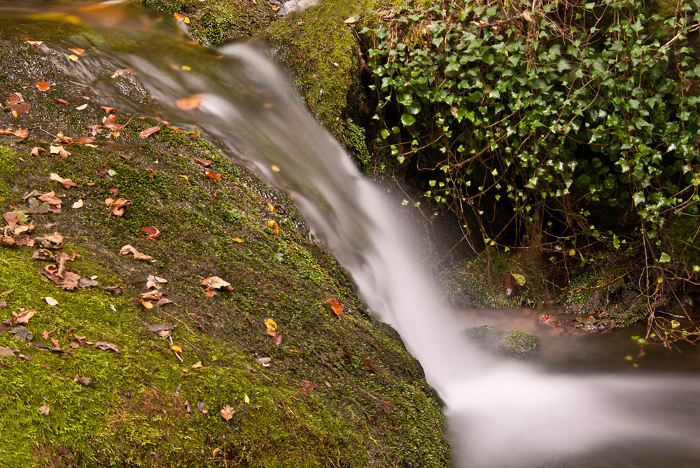 Aguas de Otoño