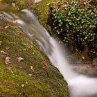 Aguas de Otoño